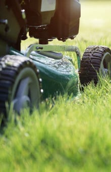 Welke benzine grasmaaier is geschikt voor een groot gazon?